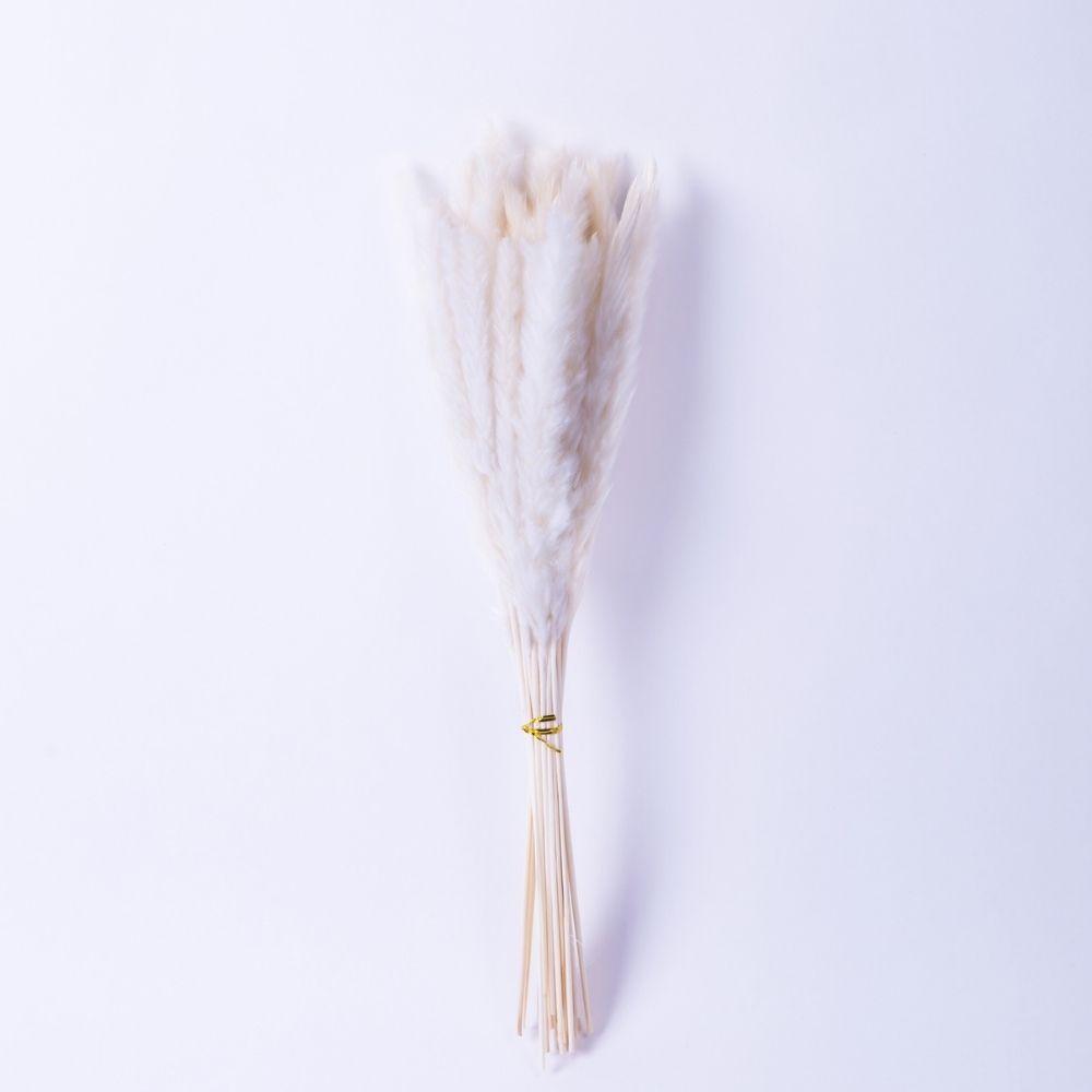 Beiges Pampasgras-Bouquet 66 cm (30er-Set)