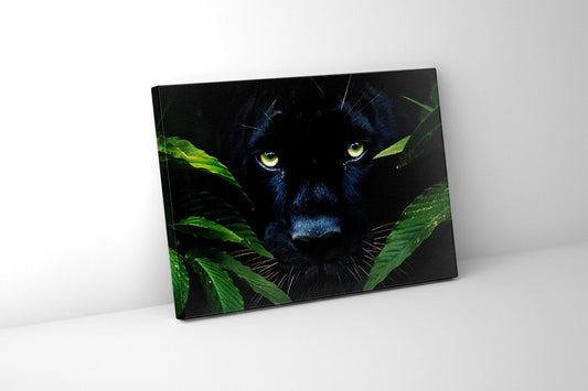 Wandbild - Seltener Schwarzer Jaguar - Wildlife Leinwand