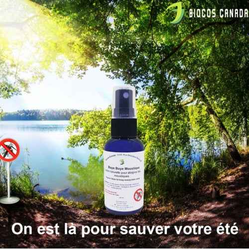 Chasse Moustique