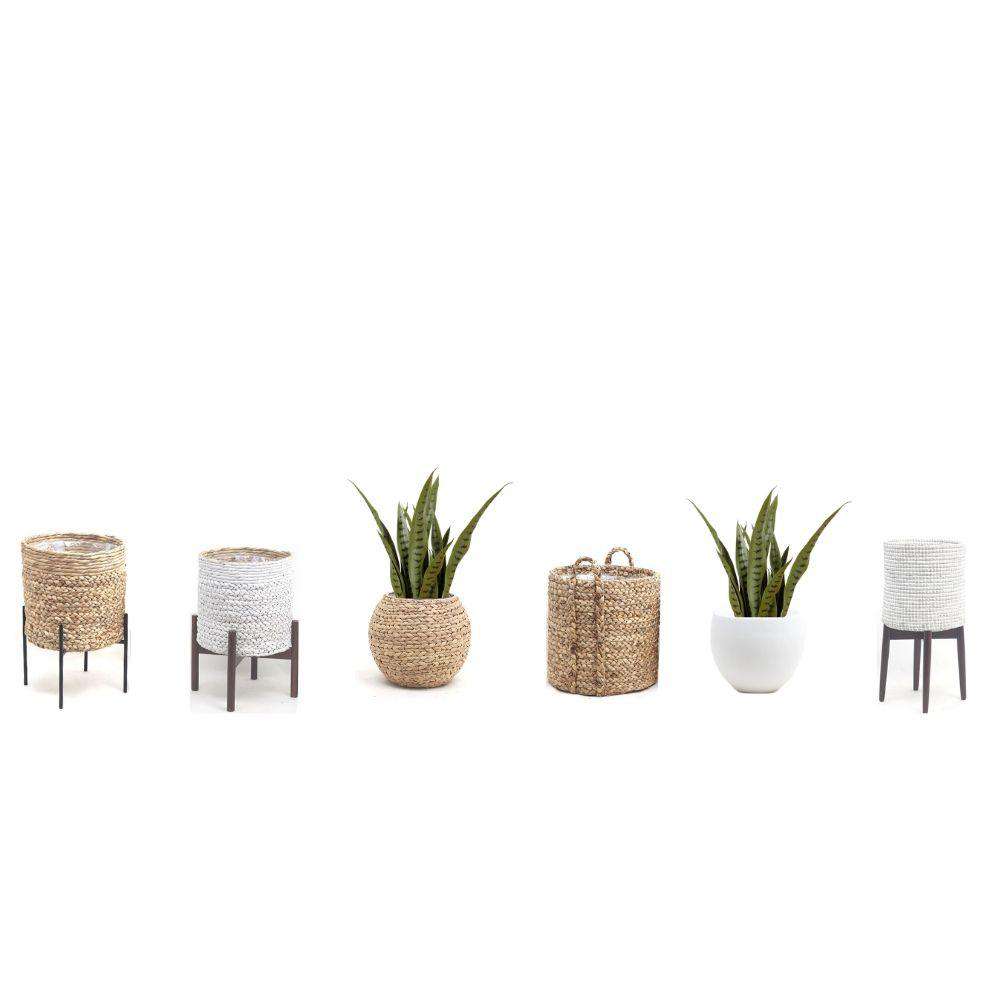 Jose Künstliche Schlangenpflanze Sansevieria Dunkelgrün Getopfte Pflanze 66 cm