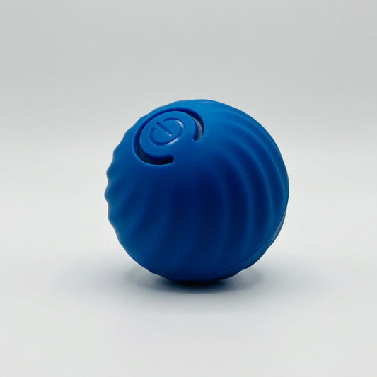 USB Vibrating Ball Toy for Dogs & Cats