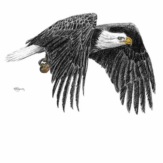 Bald Eagle - greeting card