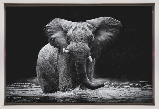Wandbild Power 1. Elefant
