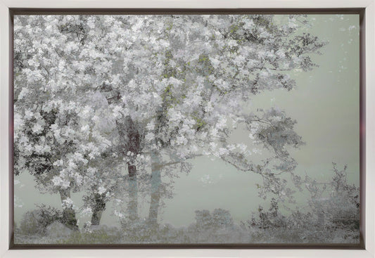 Wall Art Spring