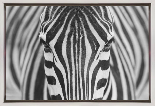 Wandkunst Zepra