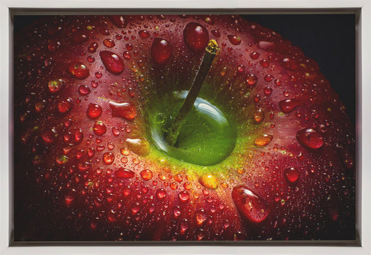 Wandkunst Roter Apfel. Lebensmittel