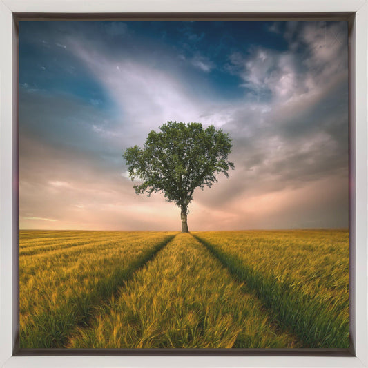 Wandkunst Eins
