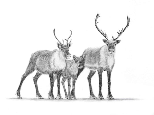 Caribou Family Magnet