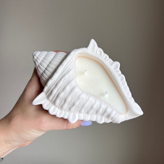 Muschel Sojawachskerze | Jesmonite Gefäß, Handgemacht