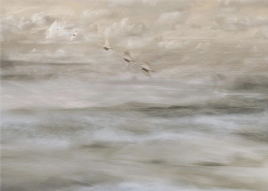 Wandbild Schwäne über dem Meer