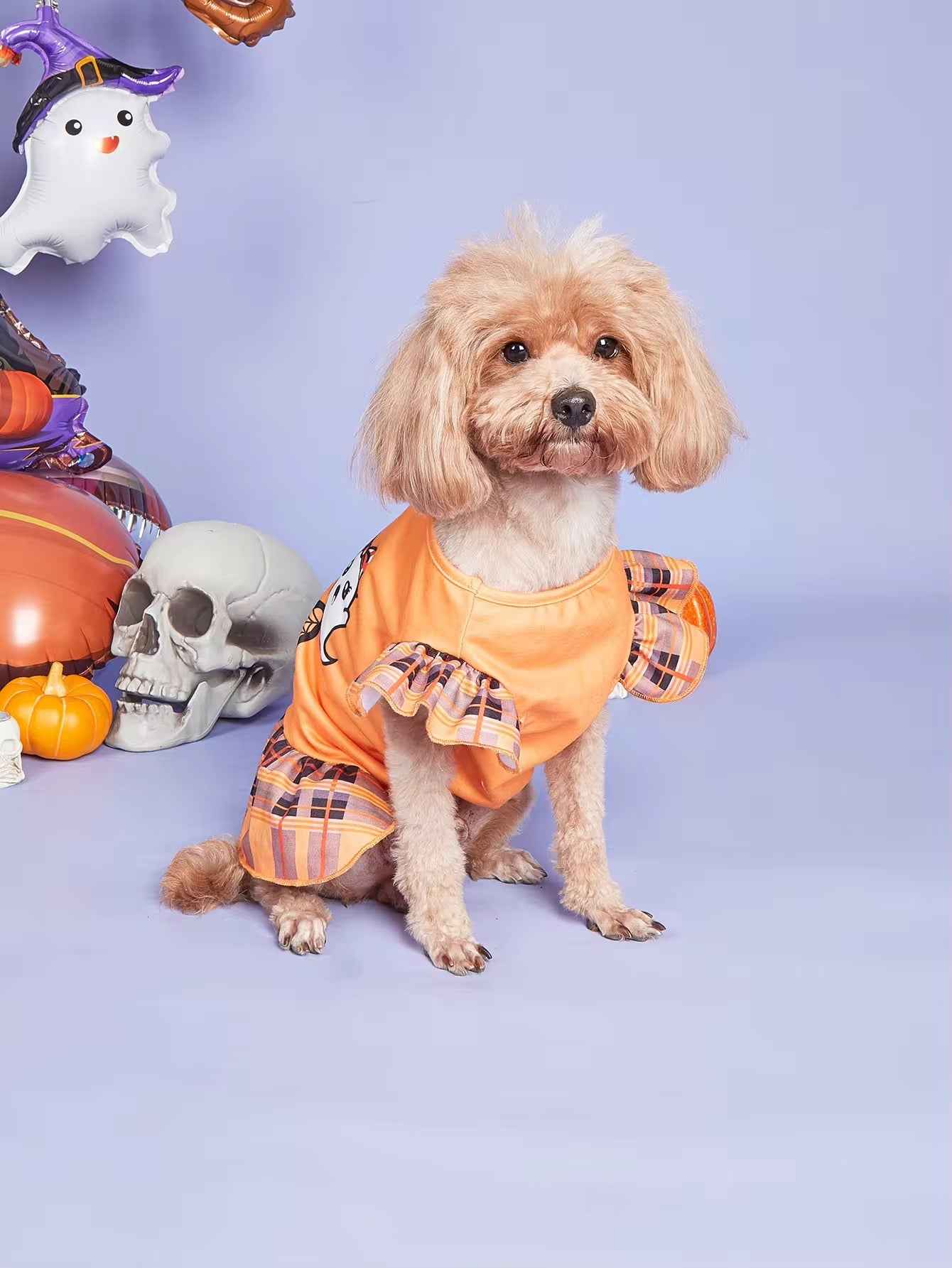 Miss Boo Dog Dress | Halloween Dog Dress