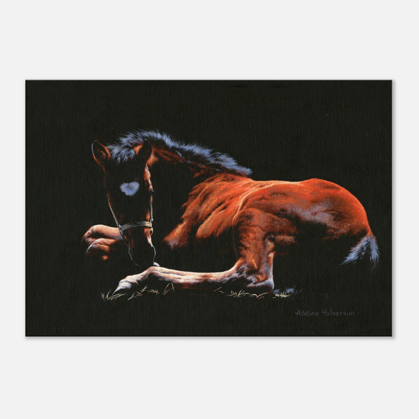 TOUCHED BY THE LIGHT Canvas