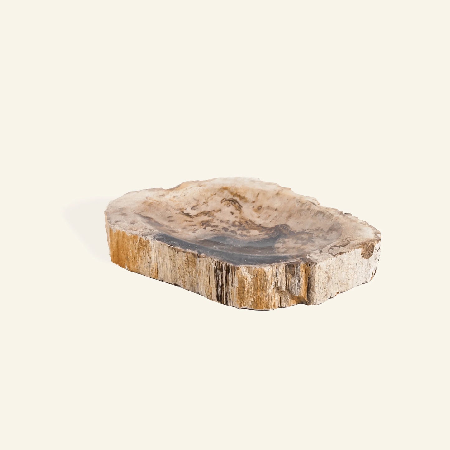 Seifenschale aus versteinertem Holz