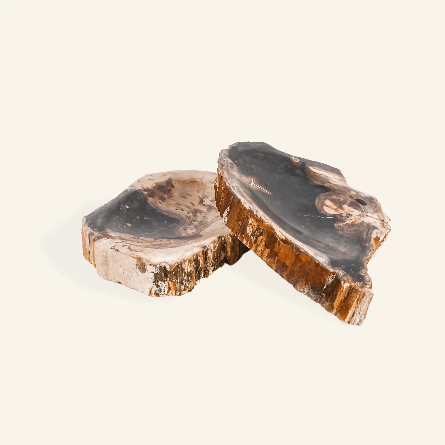 Seifenschale aus versteinertem Holz