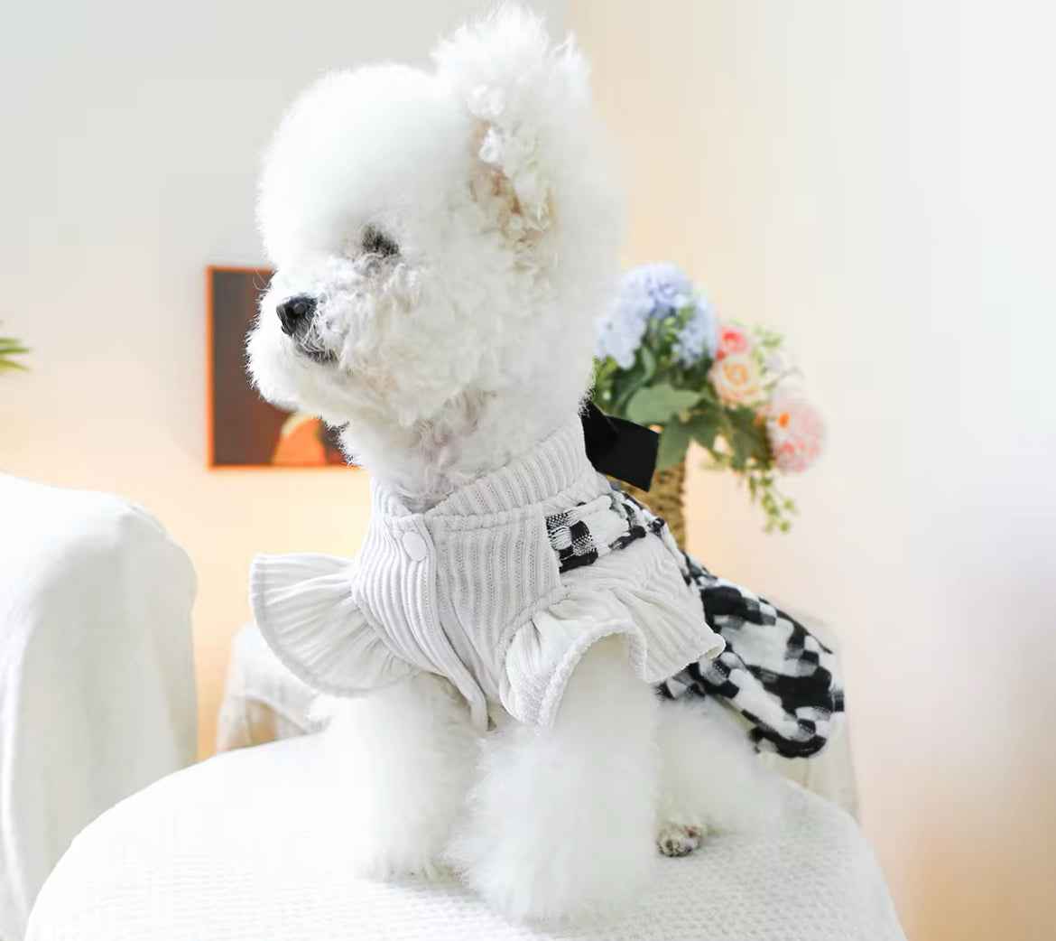 Lisa Dog Dress | Dog Dress for Special Occasions