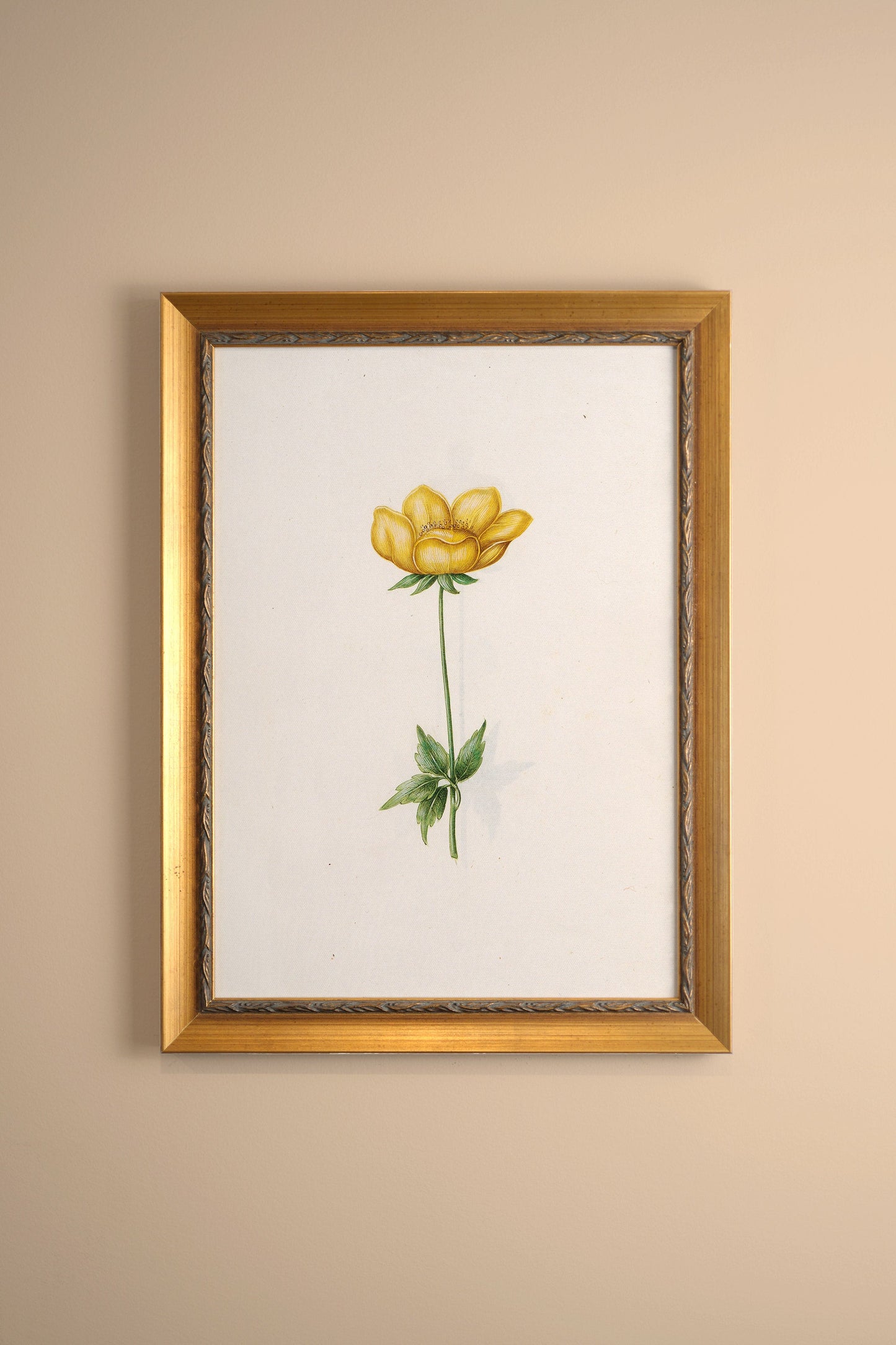 BOTANISCHE POESIE, VINTAGE-RAHMEN ODER