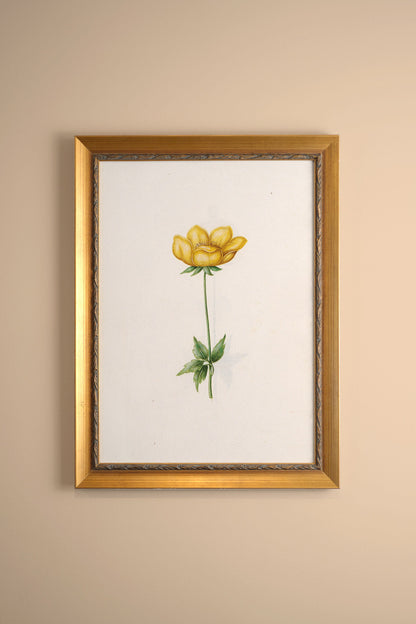 BOTANISCHE POESIE, VINTAGE-RAHMEN ODER
