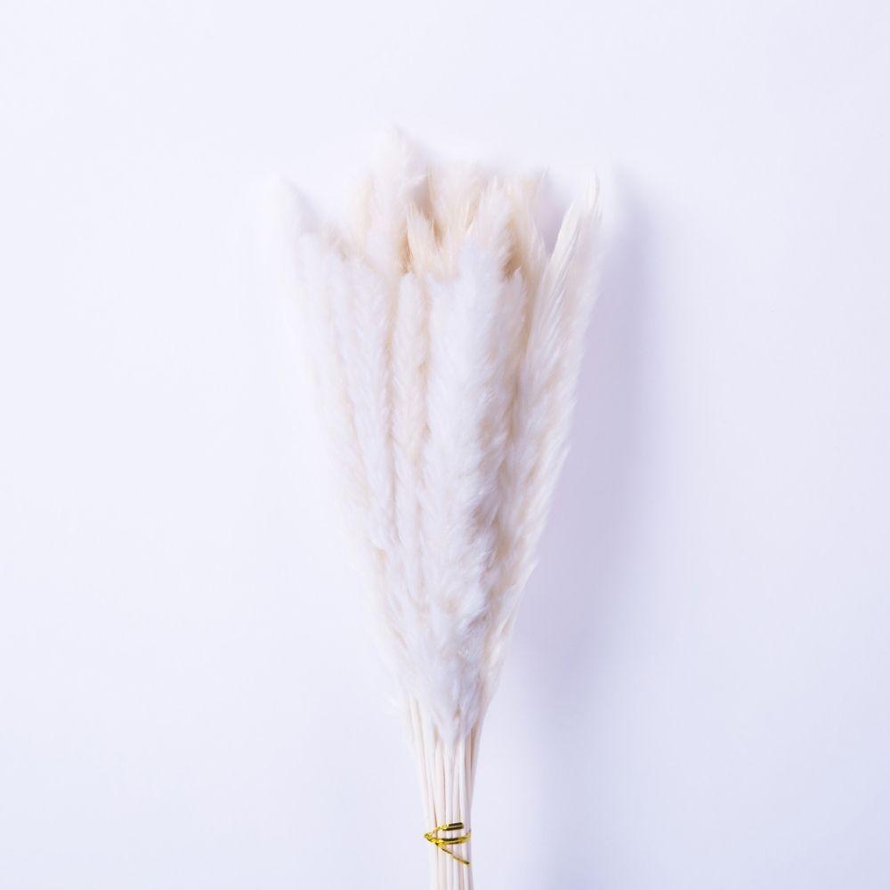 Beiges Pampasgras-Bouquet 66 cm (30er-Set)
