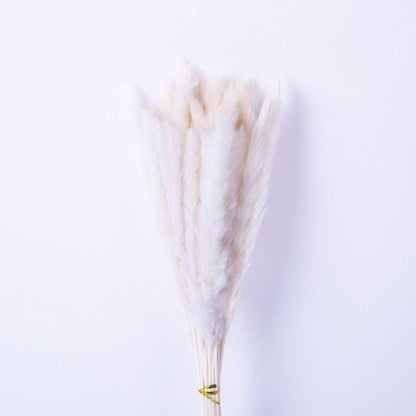 Beiges Pampasgras-Bouquet 66 cm (30er-Set)