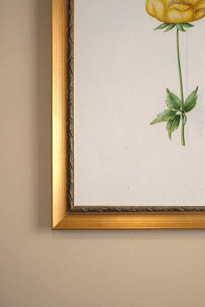 BOTANISCHE POESIE, VINTAGE-RAHMEN ODER