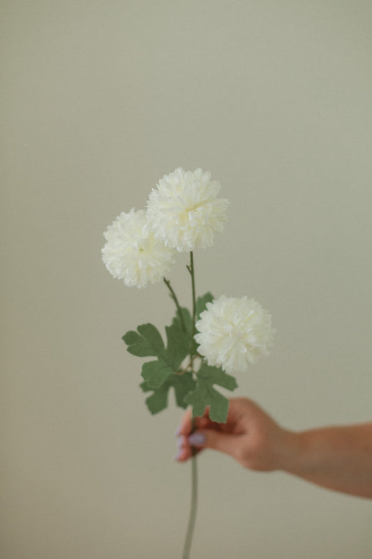 Weiße Pusteblume