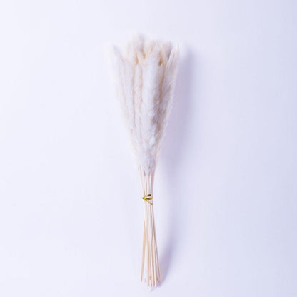 Beiges Pampasgras-Bouquet 66 cm (30er-Set)