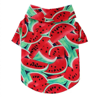 Watermelon Dog T-Shirt | Graphic Dog Shirt