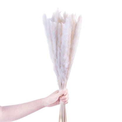 Beiges Pampasgras-Bouquet 66 cm (30er-Set)