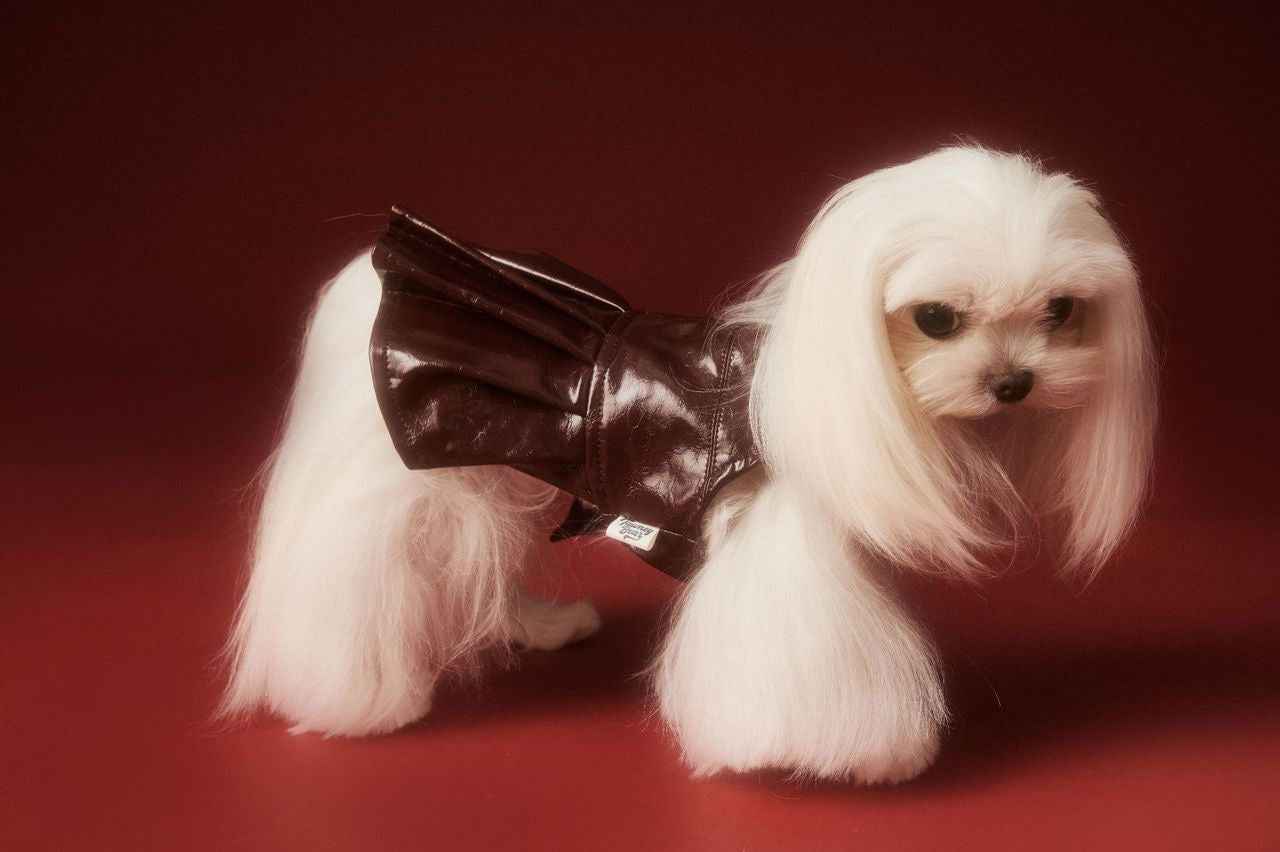 Donna Dog Dress | Dog Dress for Special Occasions
