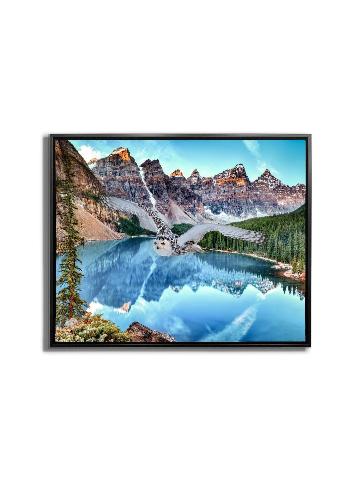 Leinwand-Tierkunst – Schneeeule bei Banff – Gedrucktes Kunstwerk