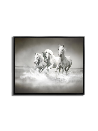 Wandbild Schwarz-Weiß-Hengste - Leinwand Kunstdruck Tiermotiv
