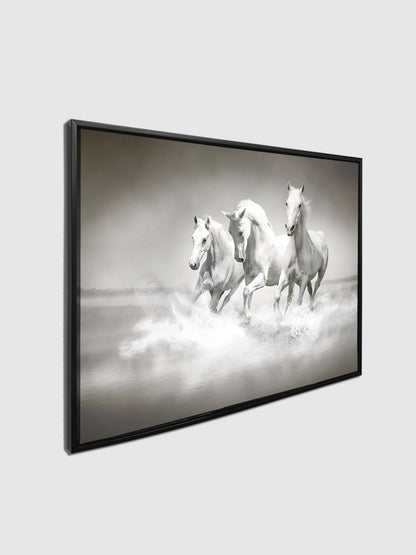 Wandbild Schwarz-Weiß-Hengste - Leinwand Kunstdruck Tiermotiv