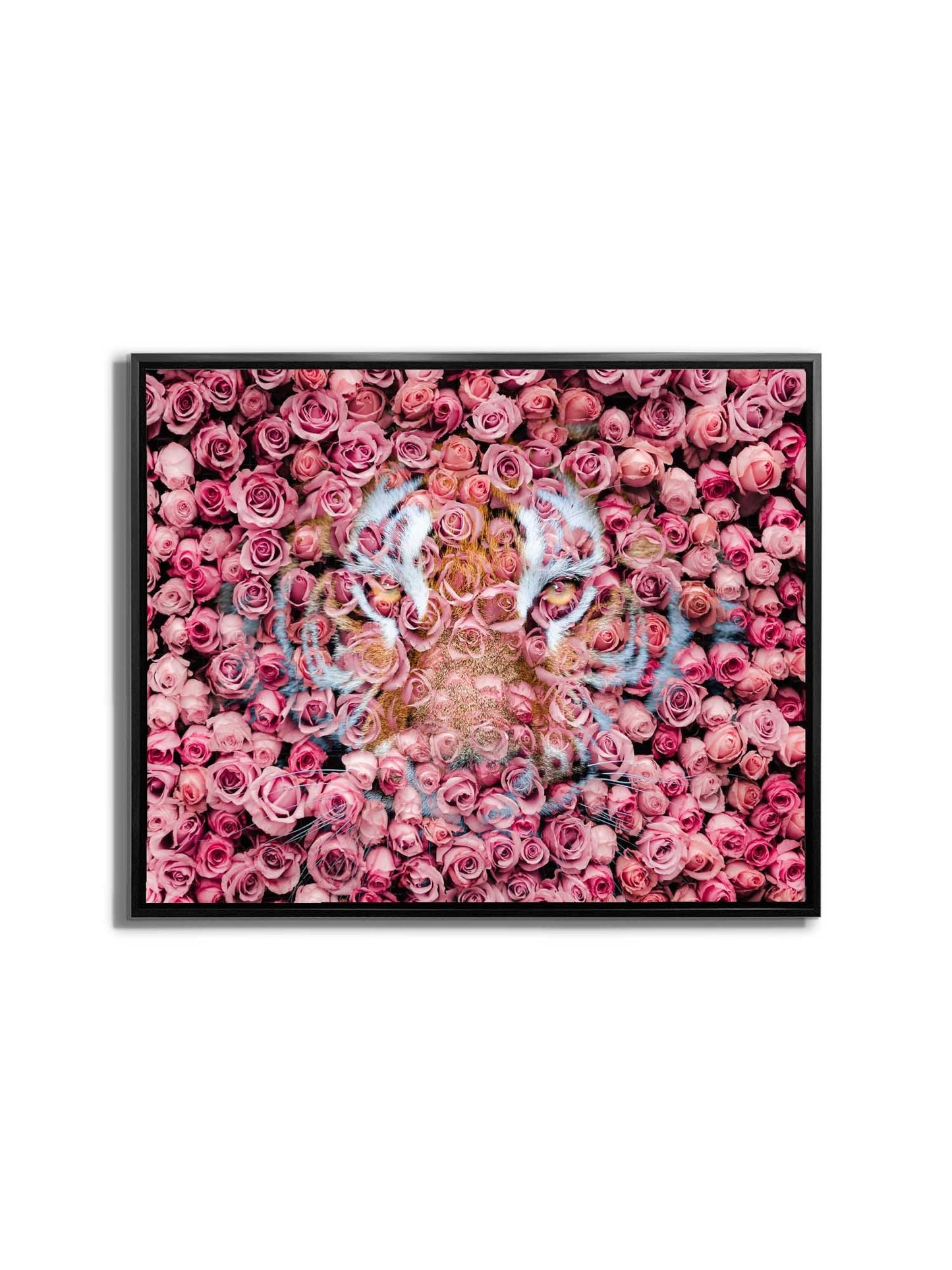 Tiger in the Rose-Wildtier Leinwanddrucke- Tierkunst- Goldlack