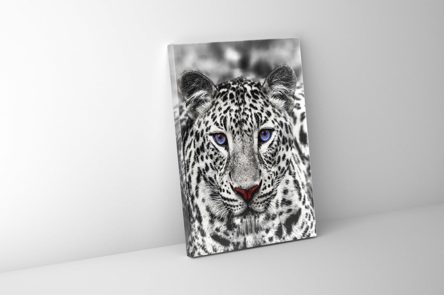 Wandkunst – Blauäugiger Weißer Tiger – Wildtier-Dekoration