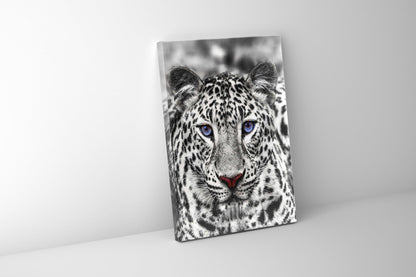 Wandkunst – Blauäugiger Weißer Tiger – Wildtier-Dekoration