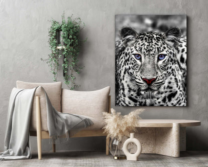 Wandkunst – Blauäugiger Weißer Tiger – Wildtier-Dekoration