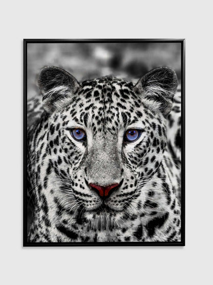 Wandkunst – Blauäugiger Weißer Tiger – Wildtier-Dekoration