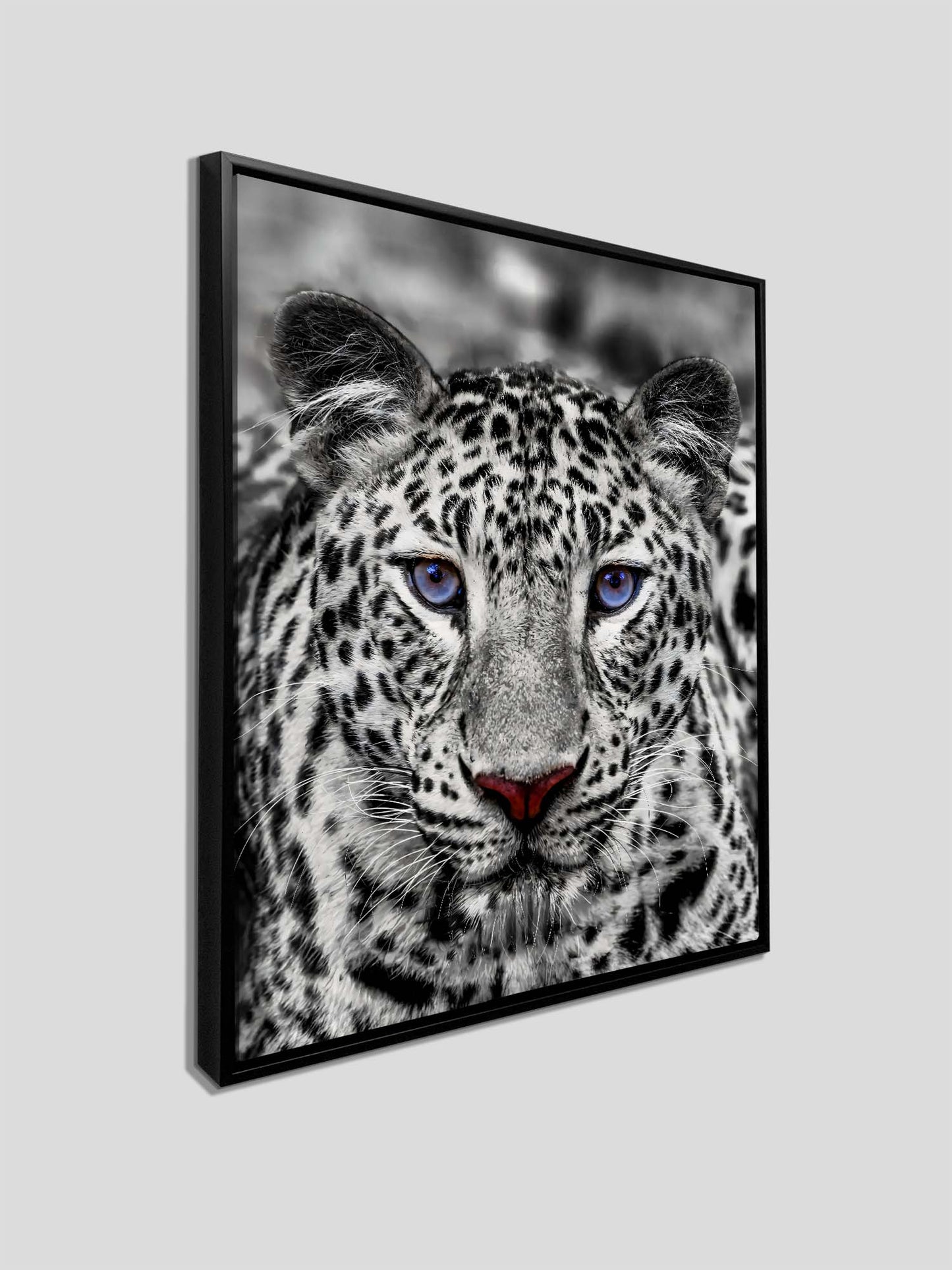 Wandkunst – Blauäugiger Weißer Tiger – Wildtier-Dekoration
