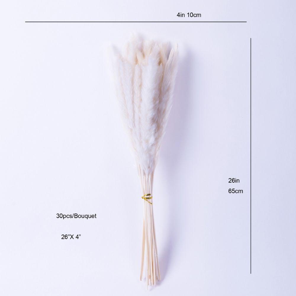 Beiges Pampasgras-Bouquet 66 cm (30er-Set)