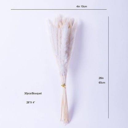 Beiges Pampasgras-Bouquet 66 cm (30er-Set)