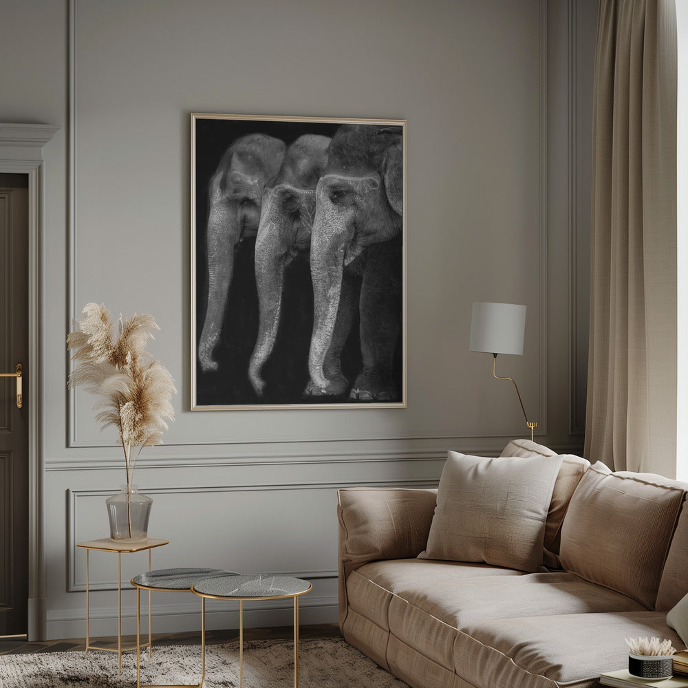 Wandbild Die Natur ist ein großartiges Meisterwerk, ein Elefant; das einzige harmlose große Ding ...