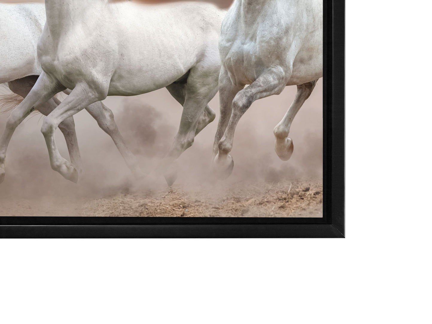 Wildlife Leinwand-Arabische Pferde Weißer Himmel-Wandbild