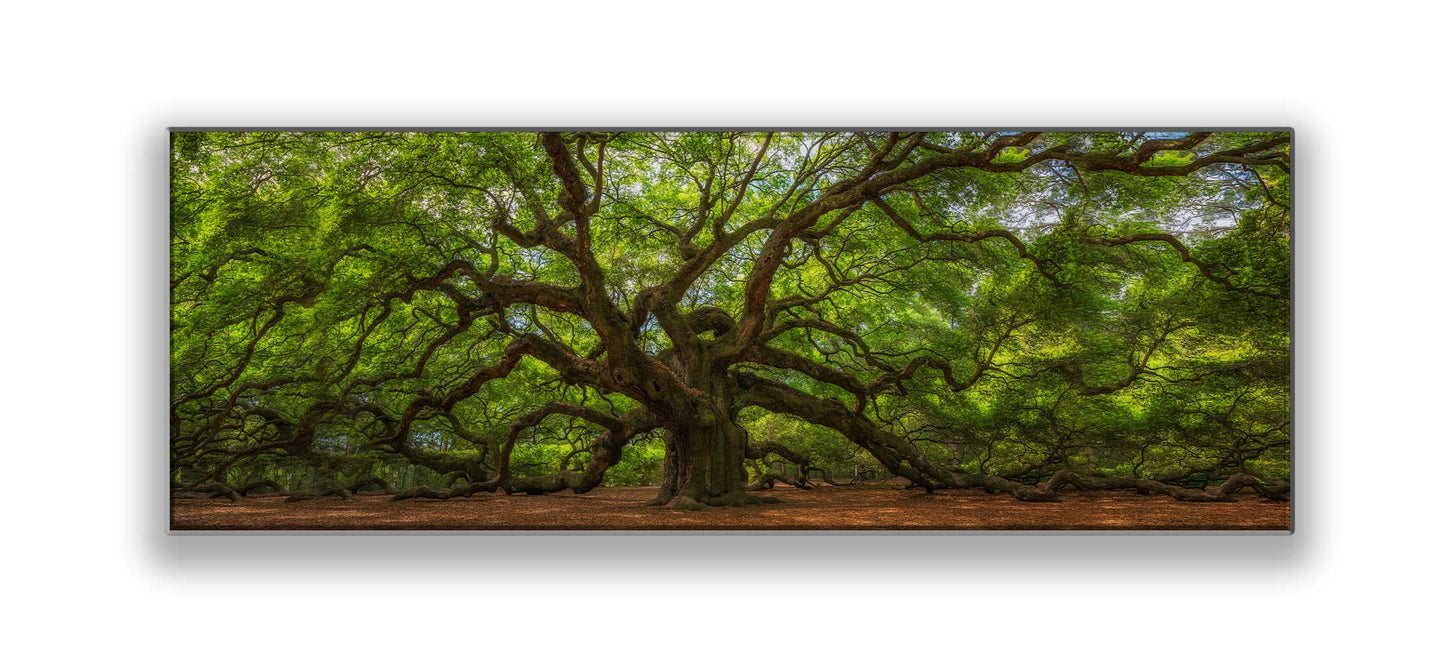 Wandbild Engelbaum 72" x 24" Leinwanddruck