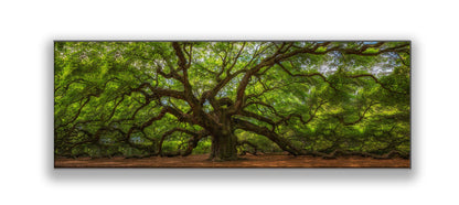 Wandbild Engelbaum 72" x 24" Leinwanddruck