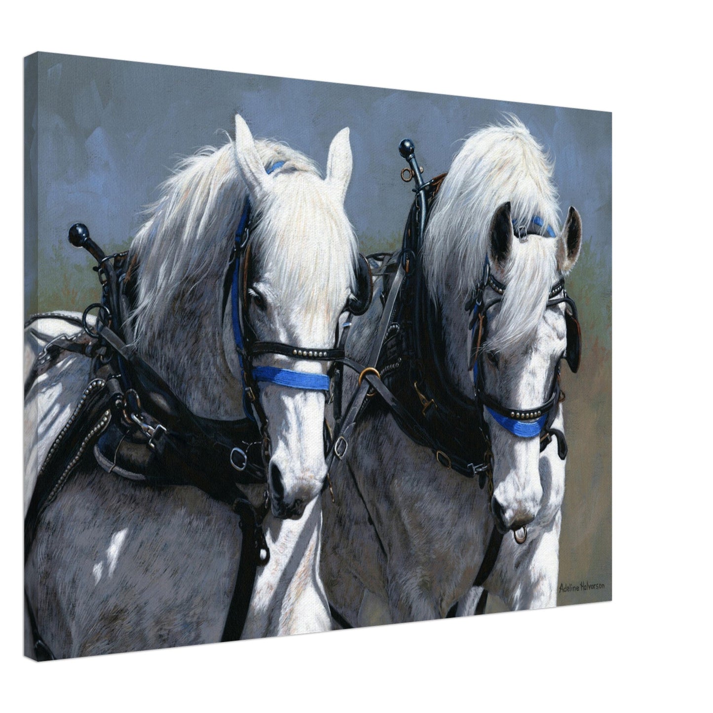 POWER AND GRACE Canvas Print