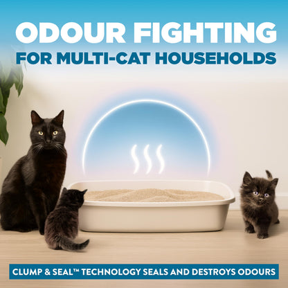 Arm & Hammer Clump & Seal Cloud Control Clay Cat Litter, Multi-Cat, 12.7kg, 7 Days of Odour Control, Dust Free, Clumping Litter (Pack of 1) 🍁 All In One Marketplace Canada