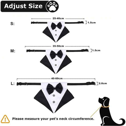 Best Man Collar
