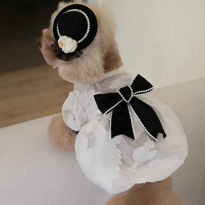 Chewnel Dress for Dogs – Elegant Dog Dress Outfit