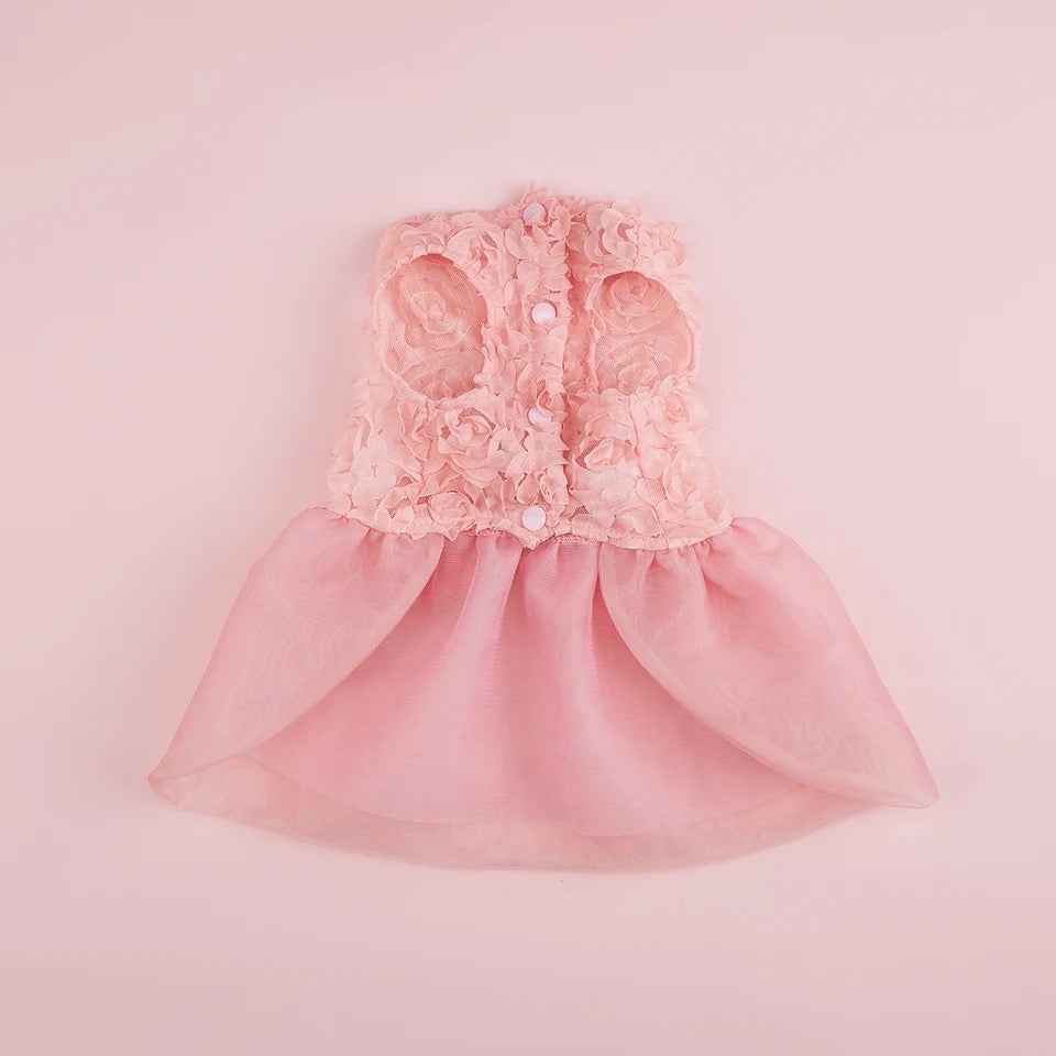 Daphne Dress