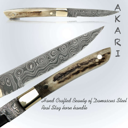 AKARI Skinner Messer 3,5 Zoll mit Hirschhorngriff und Original-Lederscheide